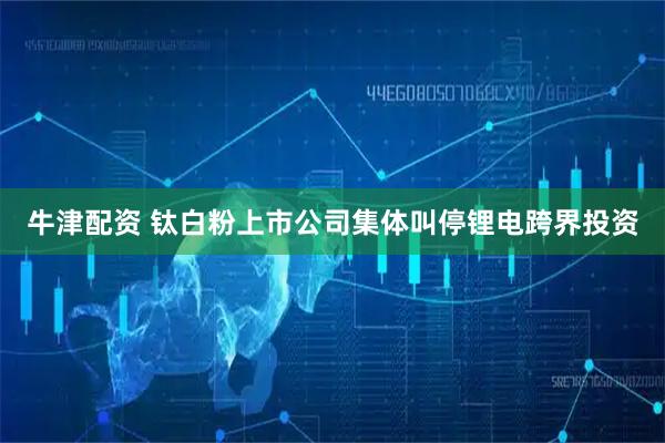 牛津配资 钛白粉上市公司集体叫停锂电跨界投资