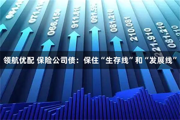 领航优配 保险公司债：保住“生存线”和“发展线”