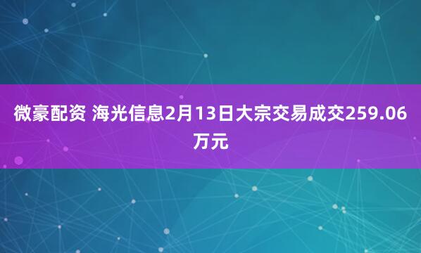 微豪配资 海光信息2月13日大宗交易成交259.06万元