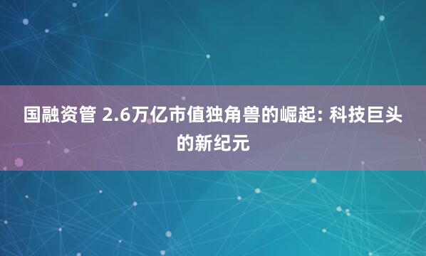 国融资管 2.6万亿市值独角兽的崛起: 科技巨头的新纪元
