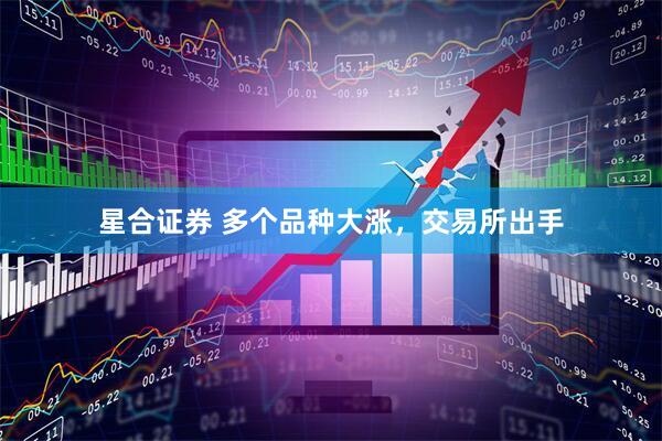 星合证券 多个品种大涨，交易所出手